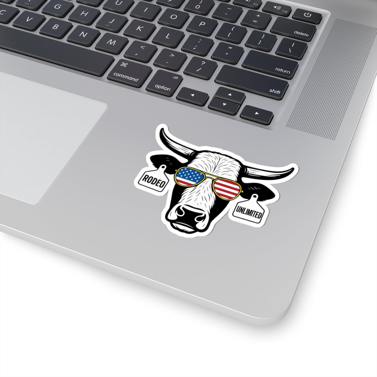 Rodeo Unlimited Bull - Decal